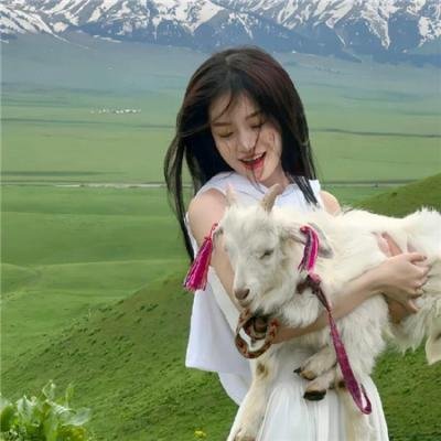 珠峰：神之山岭